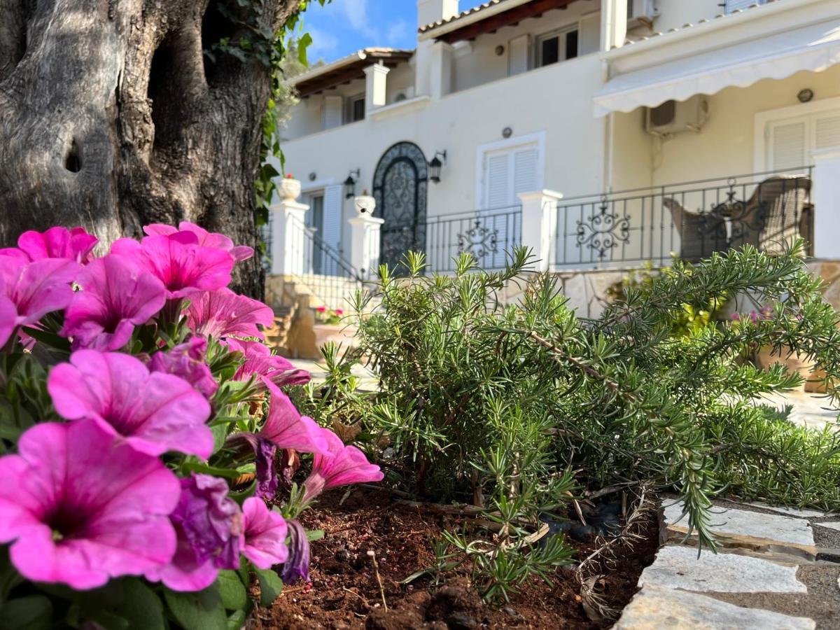 Villa Ampelaki "30 Meters To Beach" 帕莱欧卡斯提撒 外观 照片