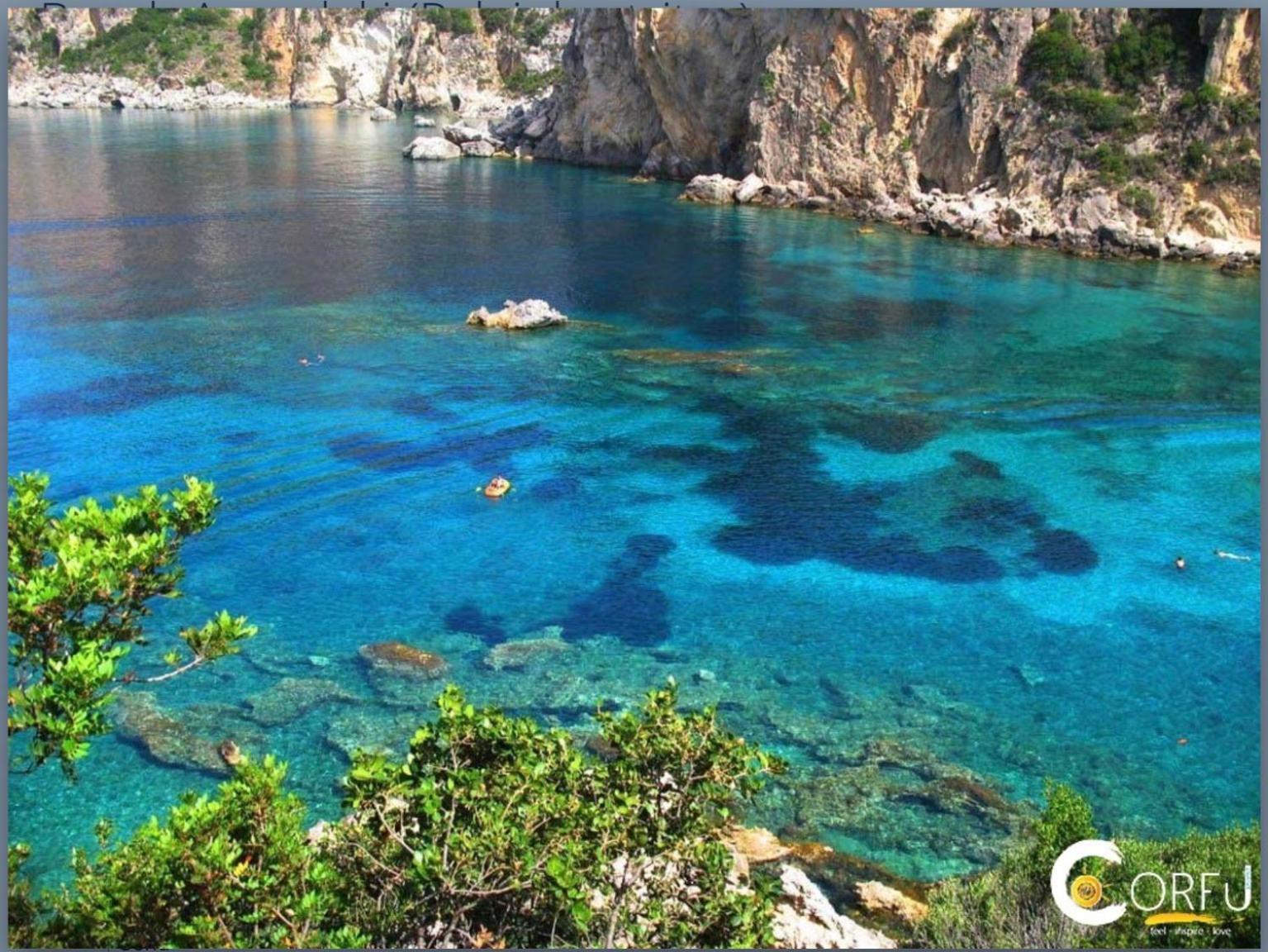 Villa Ampelaki "30 Meters To Beach" 帕莱欧卡斯提撒 外观 照片